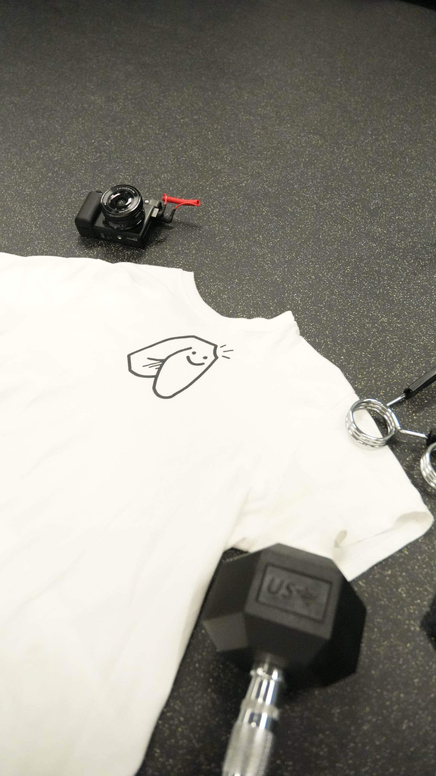 deezneez logo tee
